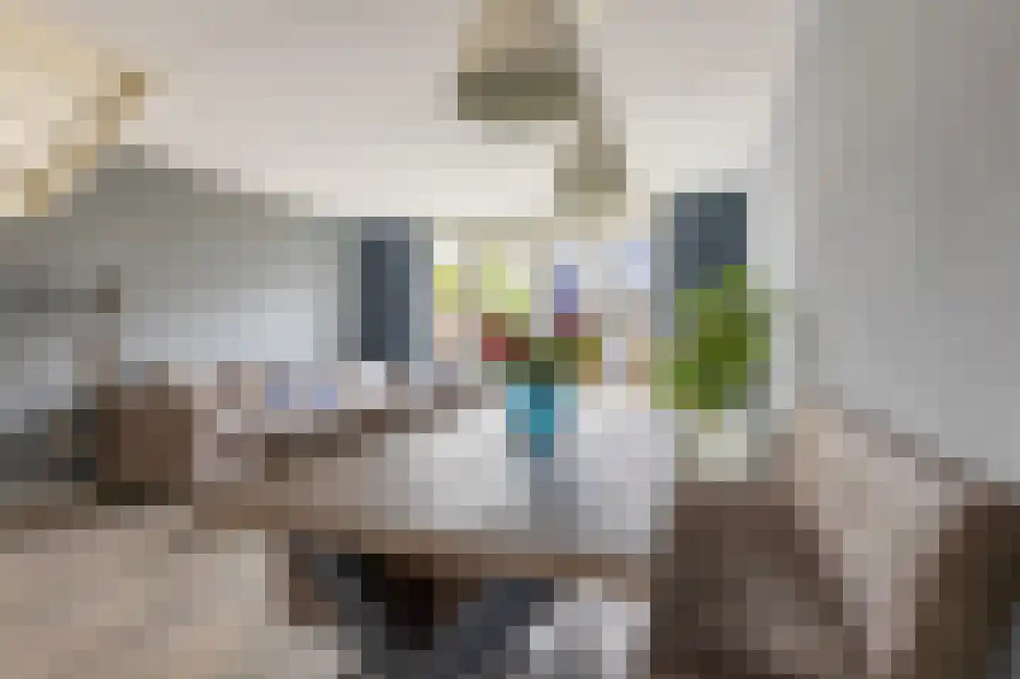 Burgemeester Groenenbergstraat 3 Driebruggen thumbnail 19