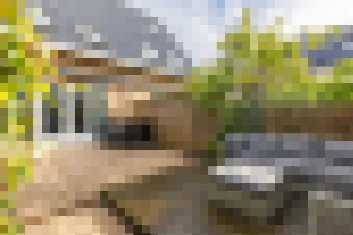 Burgemeester Groenenbergstraat 3 Driebruggen thumbnail 4