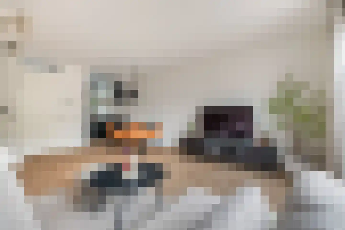 Burgemeester Groenenbergstraat 4 Driebruggen thumbnail 9