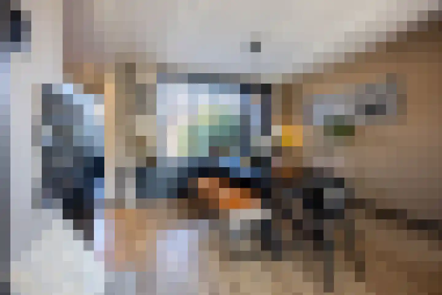 Burgemeester Gründemannstraat 13 Berkel en Rodenrijs thumbnail 9