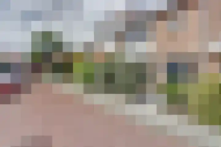 Burgemeester Gründemannstraat 3 Berkel en Rodenrijs thumbnail 5