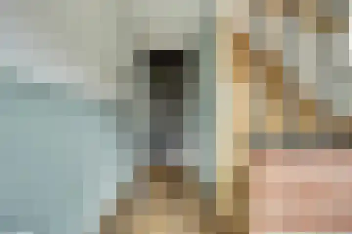 Burgemeester Gründemannstraat 3 Berkel en Rodenrijs thumbnail 8