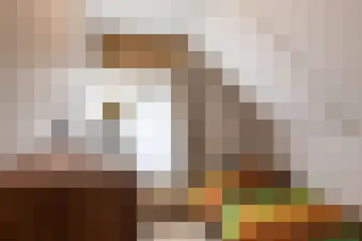 Burgemeester Gualthérie van Weezelplein 5 Westerbork thumbnail 25
