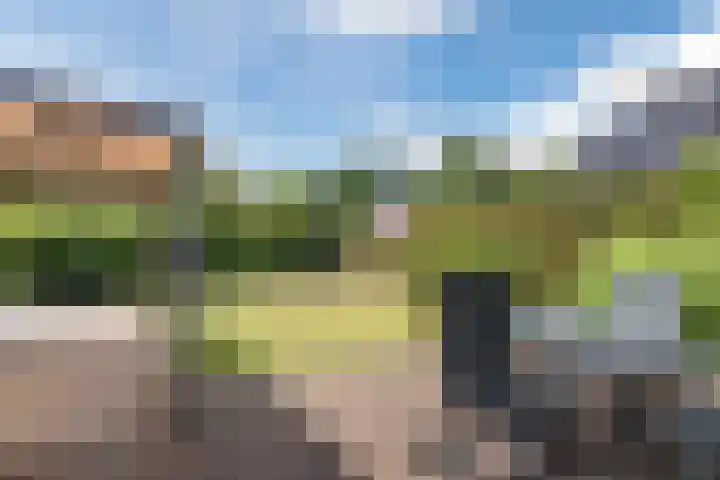 Burgemeester Gualthérie van Weezelplein 5 Westerbork thumbnail 35