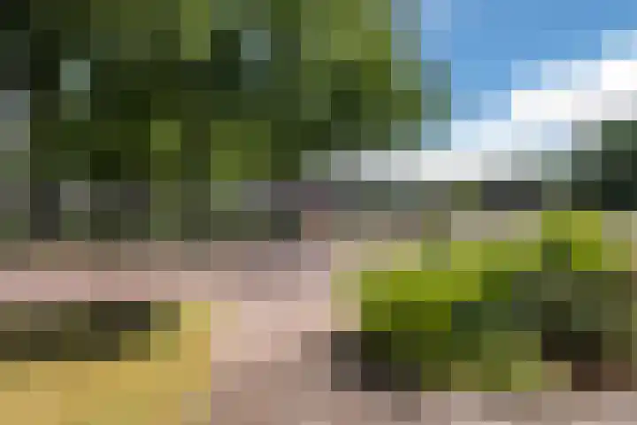 Burgemeester Gualthérie van Weezelplein 5 Westerbork thumbnail 40