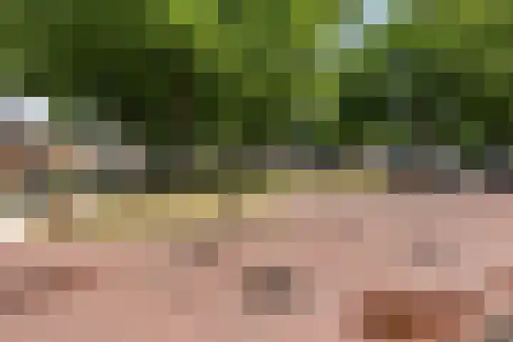 Burgemeester Gualthérie van Weezelplein 5 Westerbork thumbnail 42