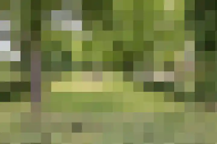 Burgemeester Gualthérie van Weezelplein 5 Westerbork thumbnail 43