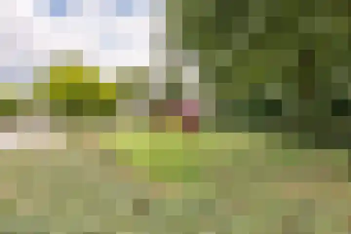 Burgemeester Gualthérie van Weezelplein 5 Westerbork thumbnail 44