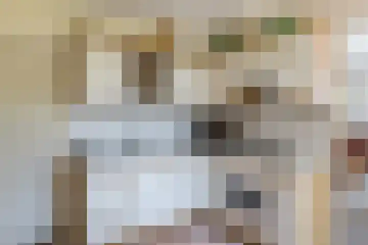 Burgemeester Gualthérie van Weezelplein 5 Westerbork thumbnail 8