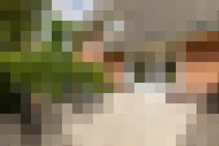Burgemeester Gülcherlaan 22 Hilversum thumbnail 37