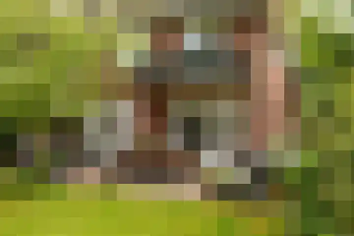 Burgemeester Gülcherlaan 22 Hilversum thumbnail 41