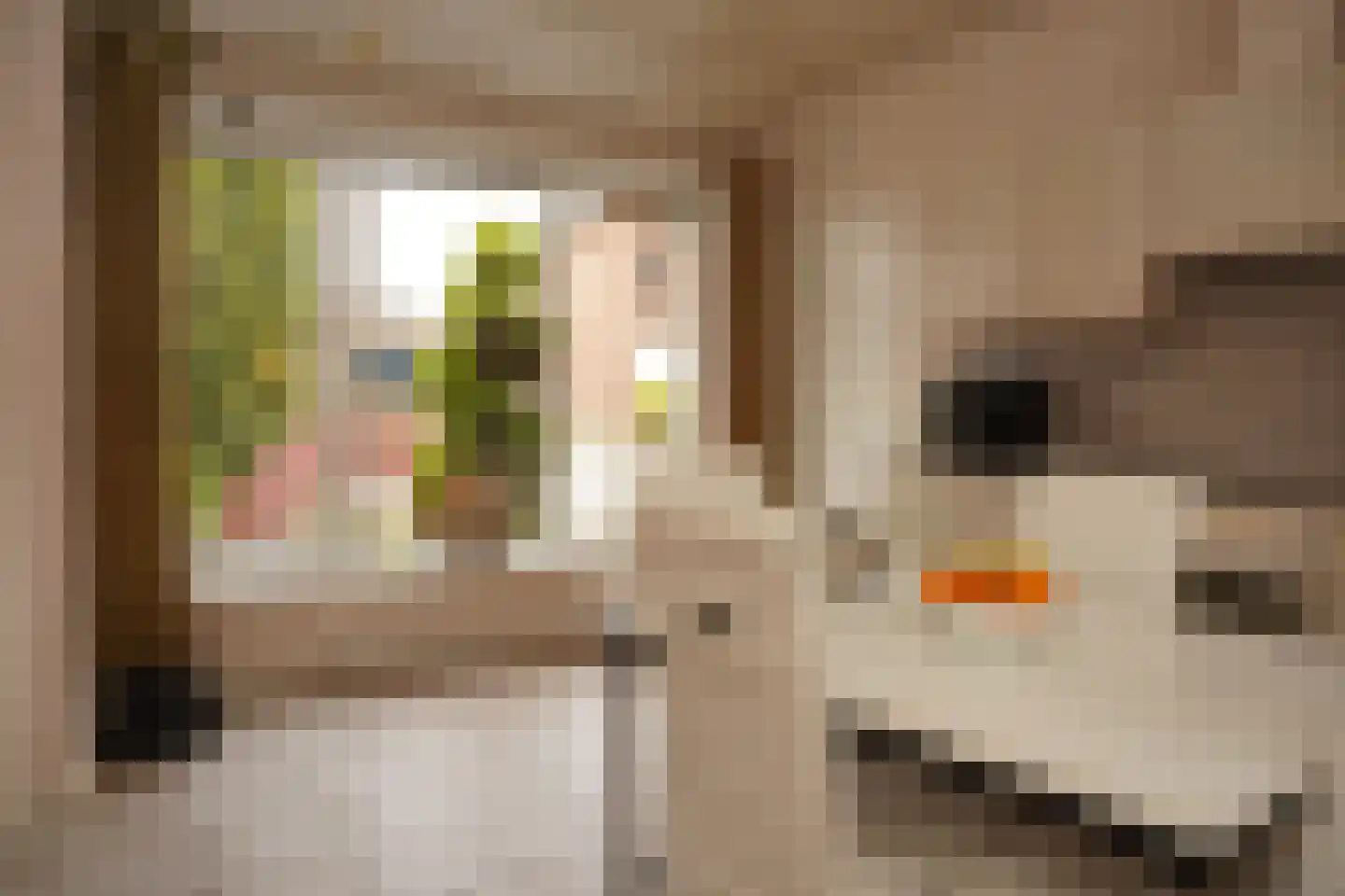 Burgemeester H.A. Callenfelsstraat 37 Oostburg thumbnail 14