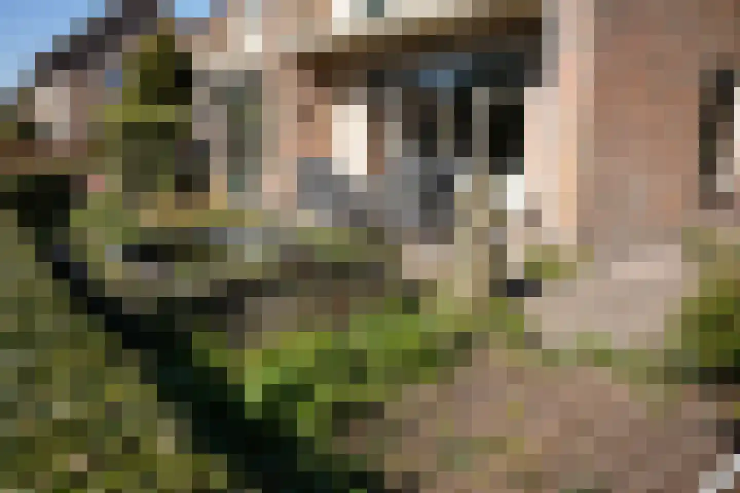 Burgemeester H.A. Callenfelsstraat 37 Oostburg thumbnail 34