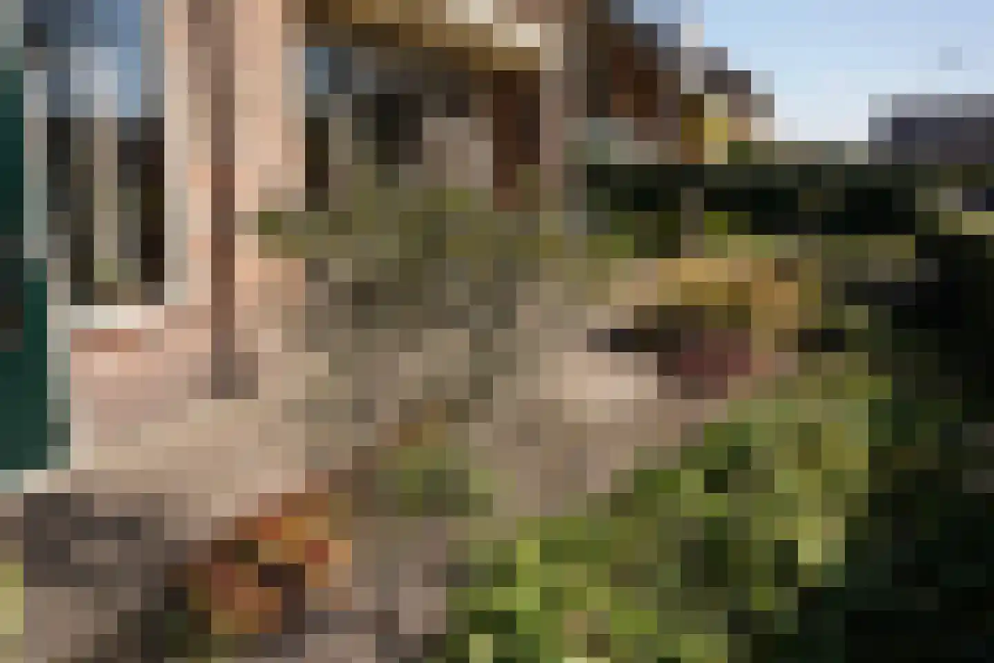 Burgemeester H.A. Callenfelsstraat 37 Oostburg thumbnail 36