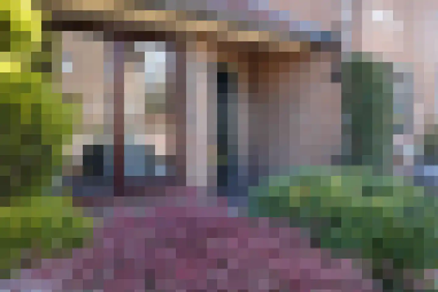 Burgemeester H.A. Callenfelsstraat 37 Oostburg thumbnail 39