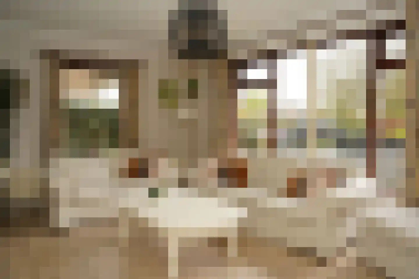 Burgemeester H.A. Callenfelsstraat 37 Oostburg thumbnail 5