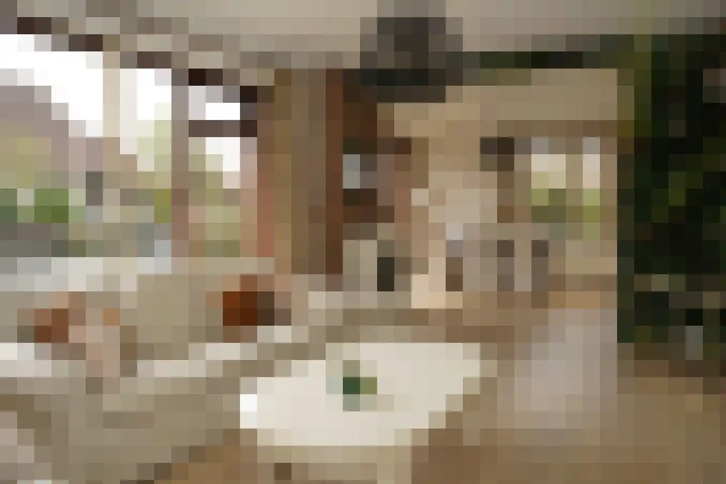 Burgemeester H.A. Callenfelsstraat 37 Oostburg thumbnail 6