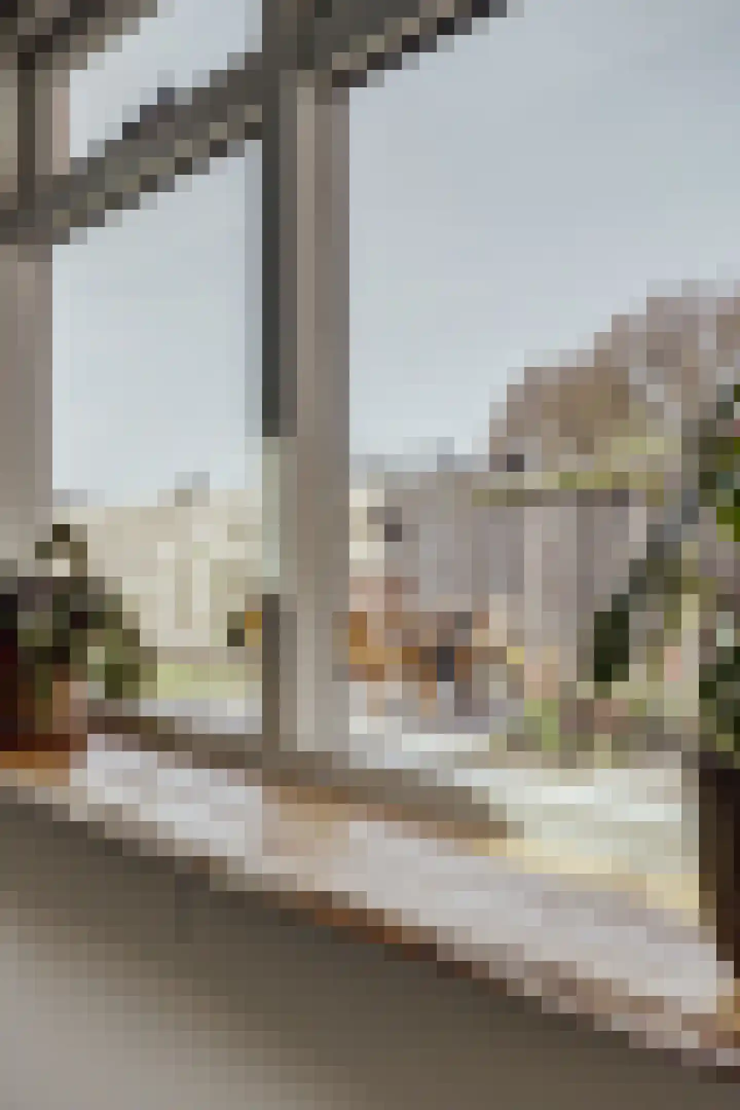 Burgemeester H.Blokstraat 14 Almkerk thumbnail 24