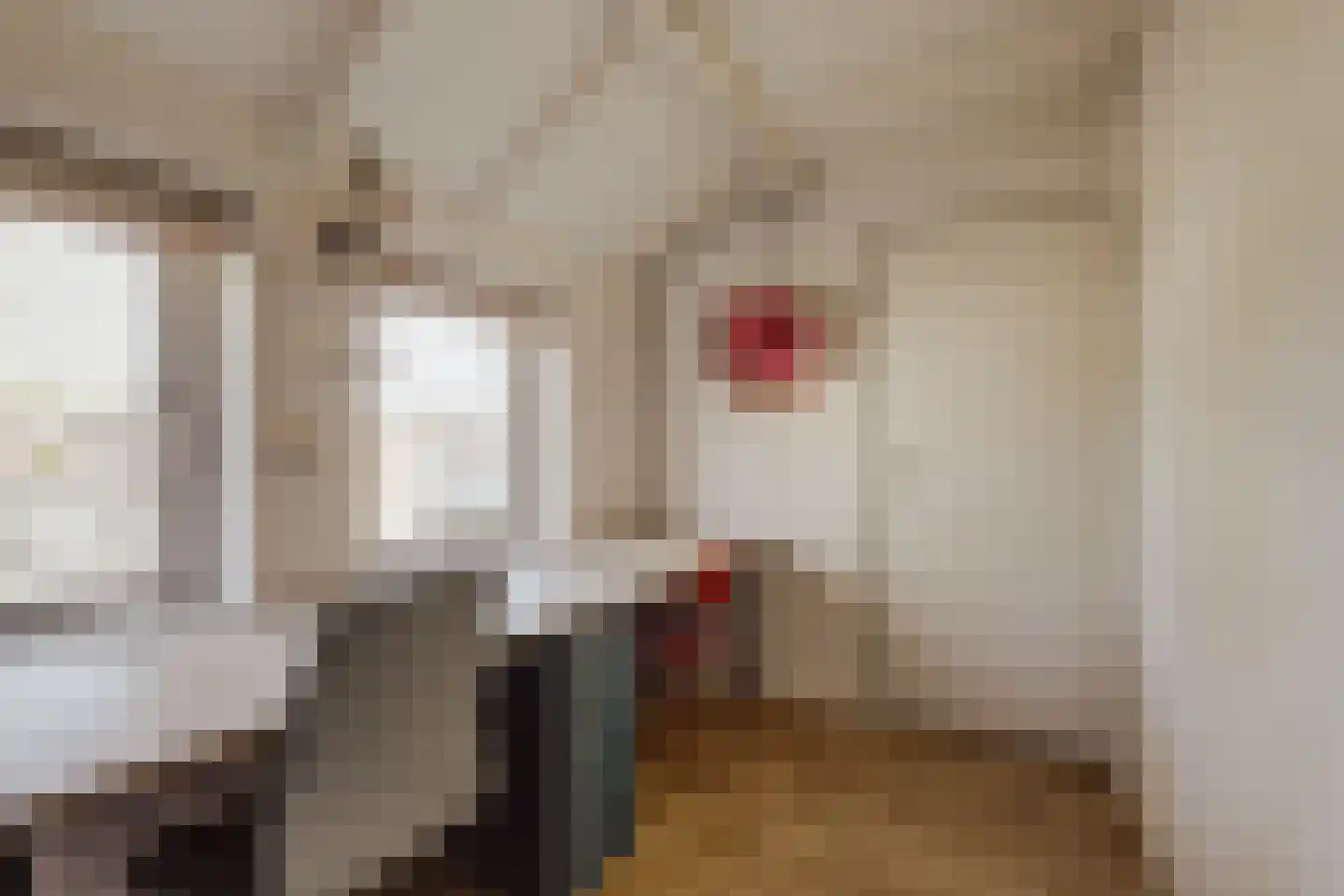 Burgemeester H.Blokstraat 14 Almkerk thumbnail 31