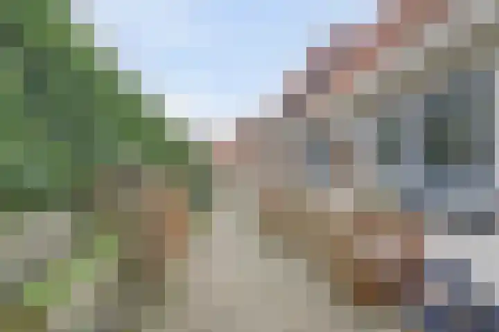 Burgemeester Hackstraat 23 Wolphaartsdijk thumbnail 30