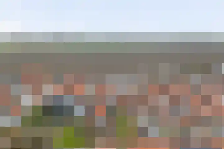 Burgemeester Hackstraat 23 Wolphaartsdijk thumbnail 37
