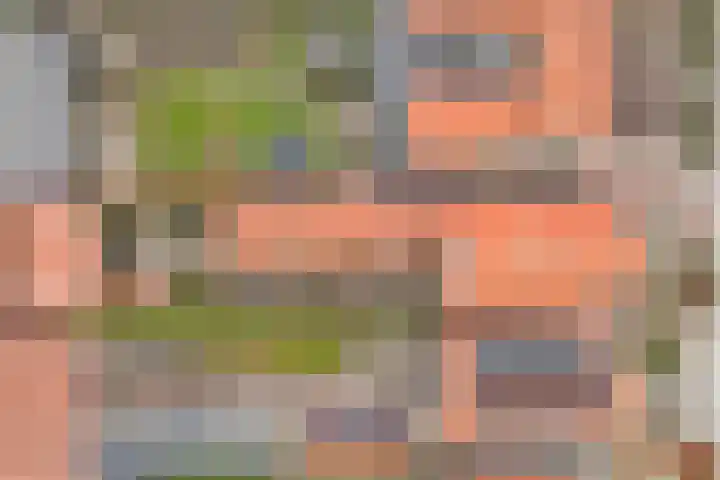 Burgemeester Hackstraat 23 Wolphaartsdijk thumbnail 38