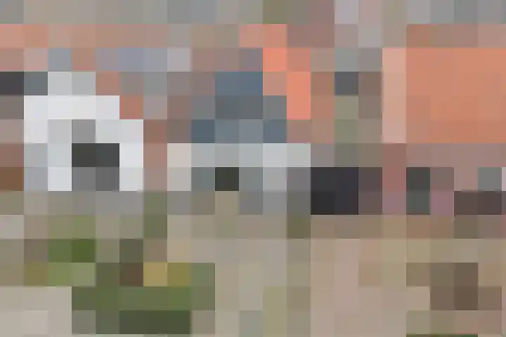 Burgemeester Hackstraat 23 Wolphaartsdijk thumbnail 40