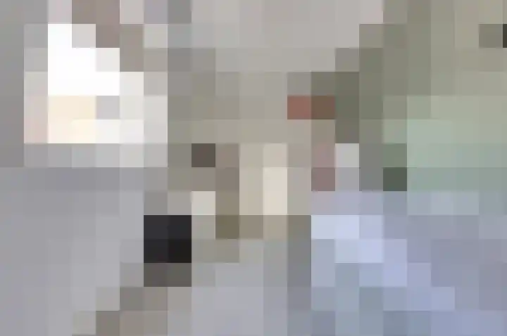 Burgemeester Hackstraat 31 Wolphaartsdijk thumbnail 23