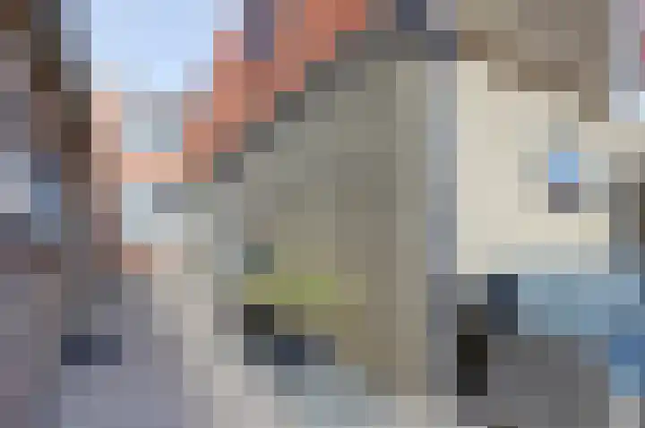 Burgemeester Hackstraat 31 Wolphaartsdijk thumbnail 29