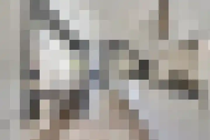 Burgemeester Hackstraat 31 Wolphaartsdijk thumbnail 7