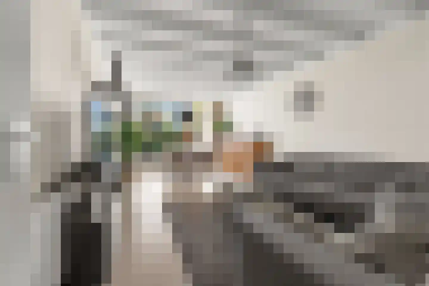 Burgemeester Haefkensstraat 39 Houten thumbnail 4
