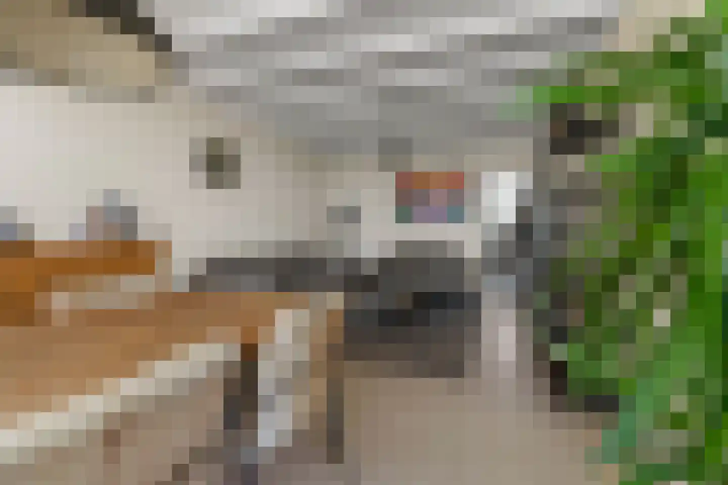 Burgemeester Haefkensstraat 39 Houten thumbnail 9