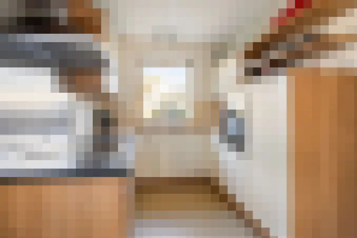 Burgemeester Hagelaan 15 Bruinisse thumbnail 11