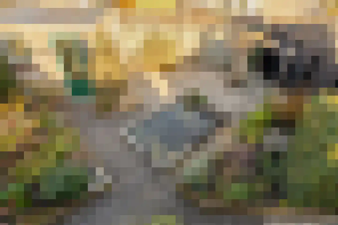 Burgemeester Hagelaan 15 Bruinisse thumbnail 26
