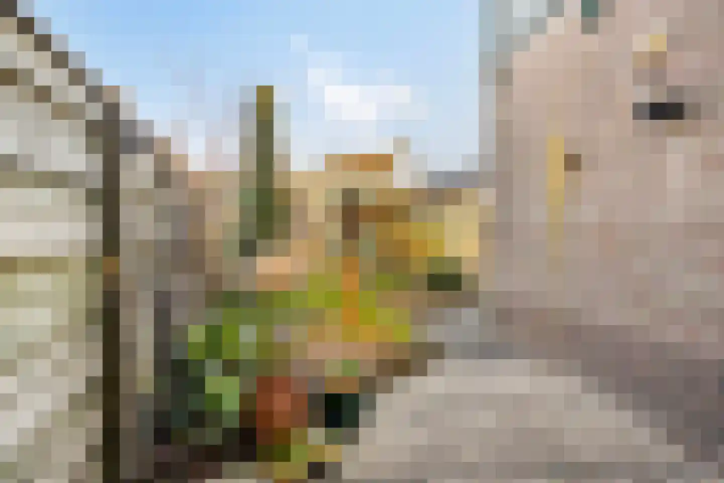 Burgemeester Hagelaan 15 Bruinisse thumbnail 28