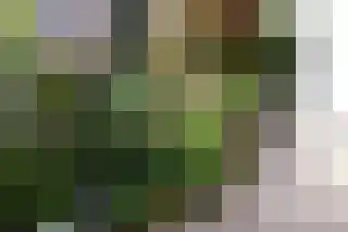 Burgemeester Hagelaan 15 Bruinisse thumbnail 31
