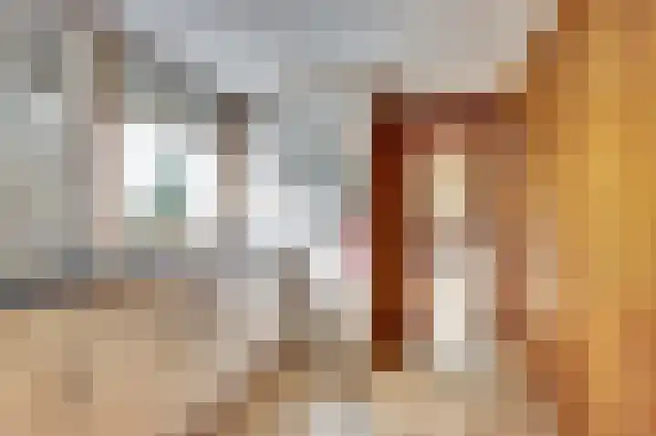 Burgemeester Hagelaan 16 Bruinisse thumbnail 11