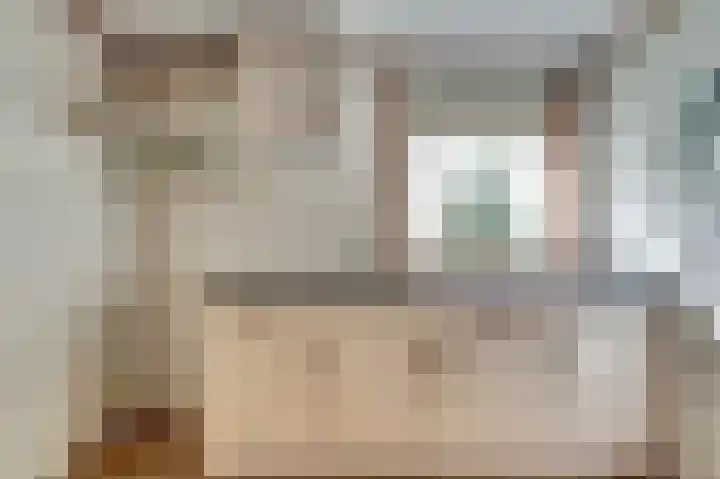 Burgemeester Hagelaan 16 Bruinisse thumbnail 12