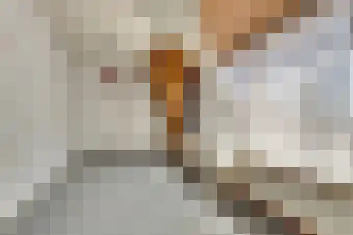 Burgemeester Hagelaan 16 Bruinisse thumbnail 14