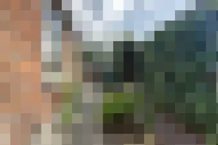 Burgemeester Hagelaan 16 Bruinisse thumbnail 23