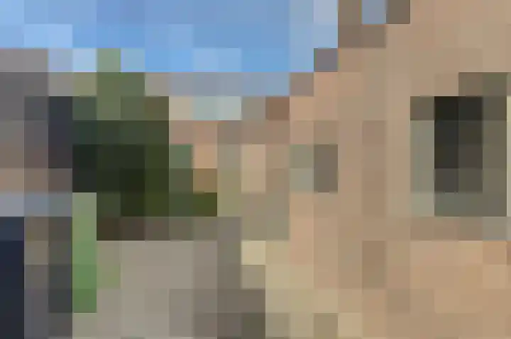 Burgemeester Hagelaan 16 Bruinisse thumbnail 25