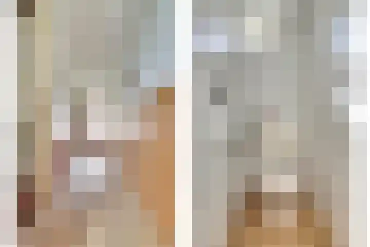 Burgemeester Hagelaan 16 Bruinisse thumbnail 4
