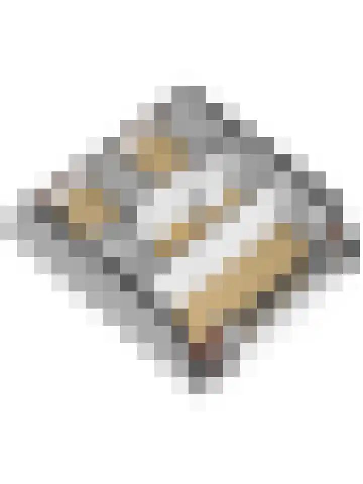 Burgemeester Hagelaan 16 Bruinisse thumbnail 44