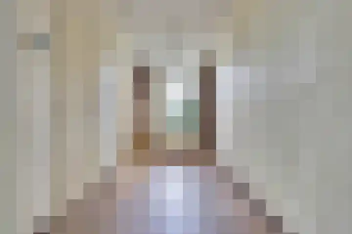 Burgemeester Hagelaan 16 Bruinisse thumbnail 6