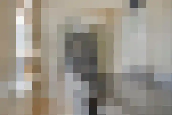 Burgemeester Hagelaan 18 Bruinisse thumbnail 11