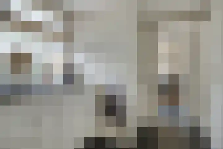 Burgemeester Hagelaan 18 Bruinisse thumbnail 13