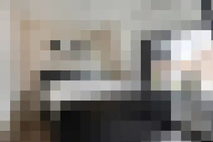Burgemeester Hagelaan 18 Bruinisse thumbnail 16