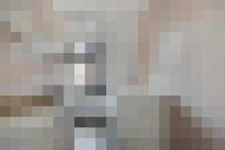Burgemeester Hagelaan 18 Bruinisse thumbnail 18