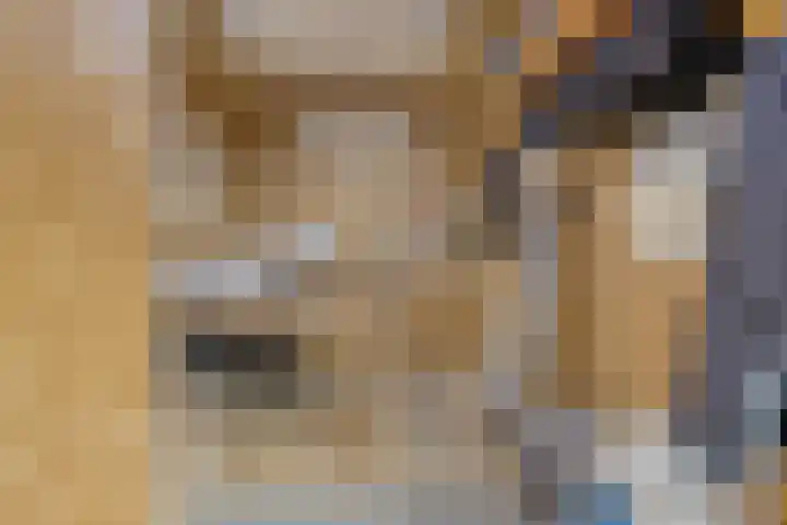 Burgemeester Hagelaan 18 Bruinisse thumbnail 26