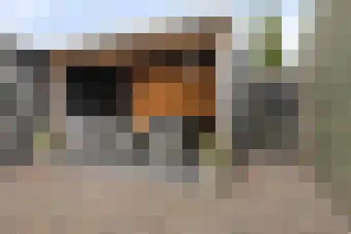 Burgemeester Hagelaan 18 Bruinisse thumbnail 35